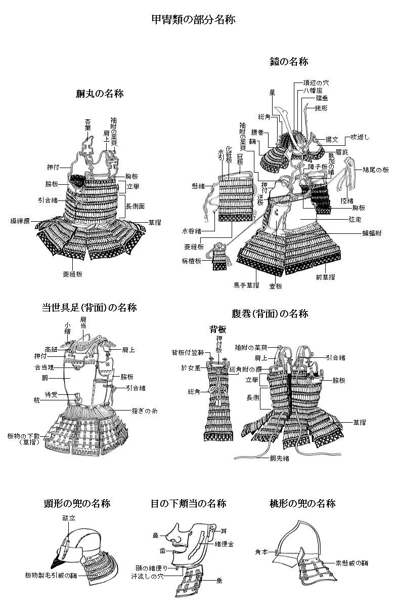 甲胄类图解.jpg