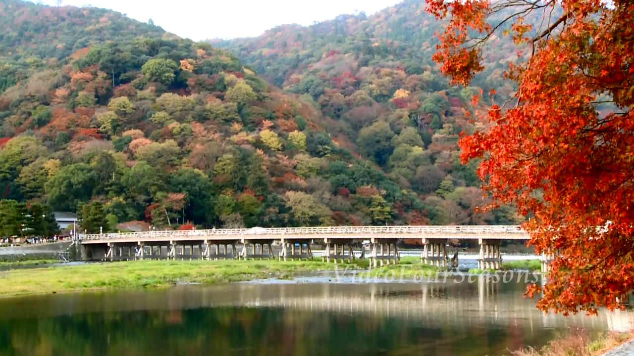 京都嵐山渡月橋(紅葉).jpg
