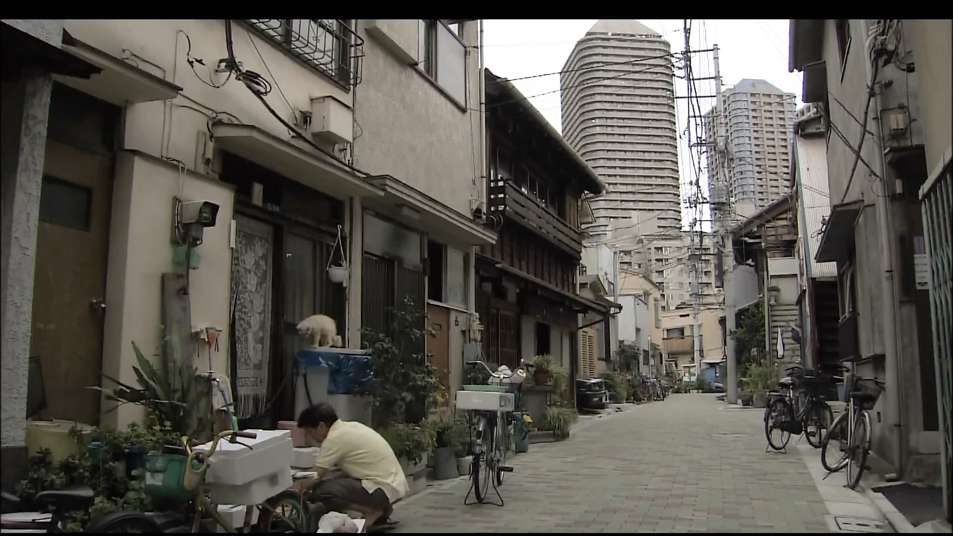 さわやかウインドー「東京下町散策」e.jpg