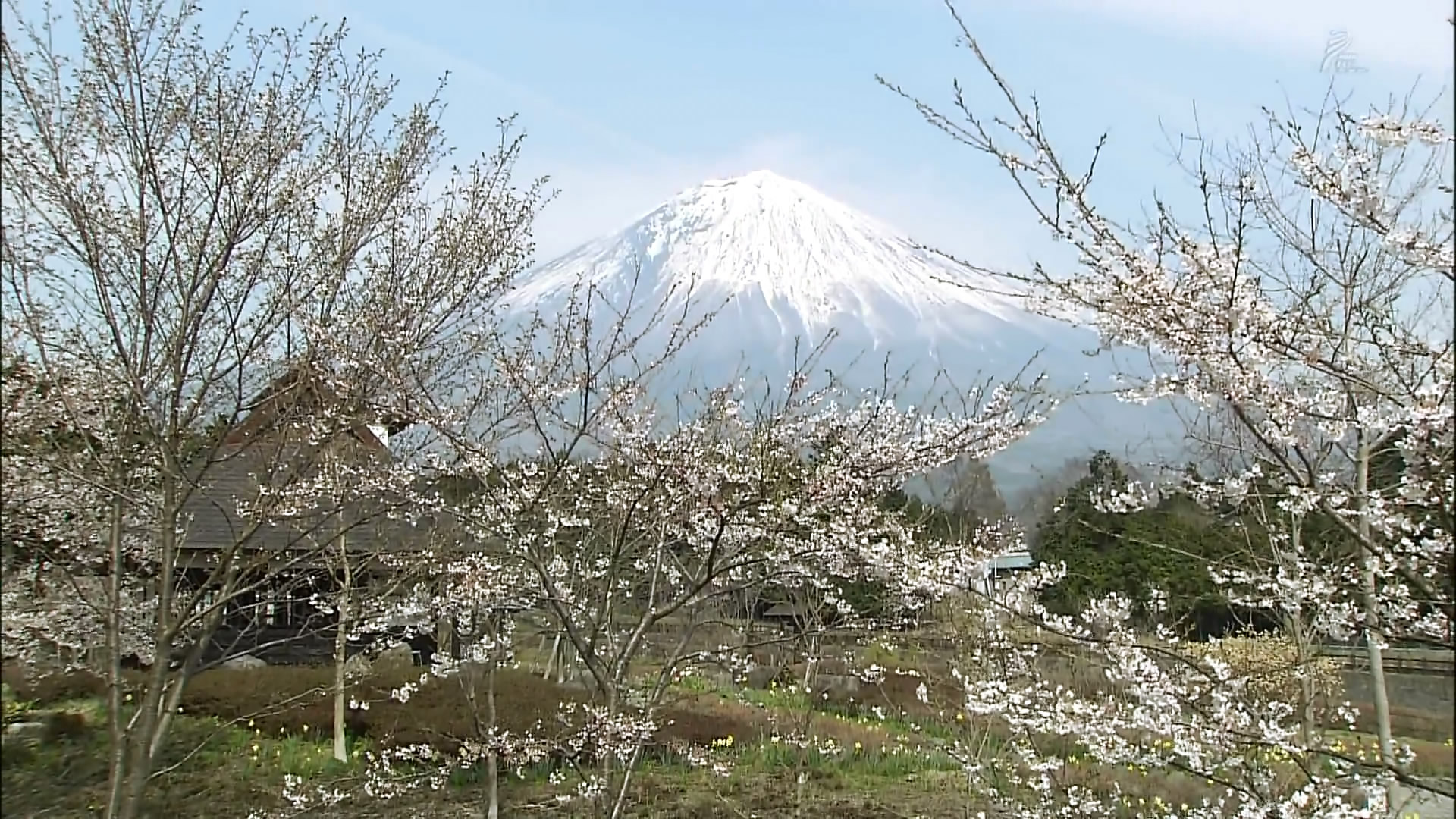 さわやかウインドー「富士山点描」b.jpg