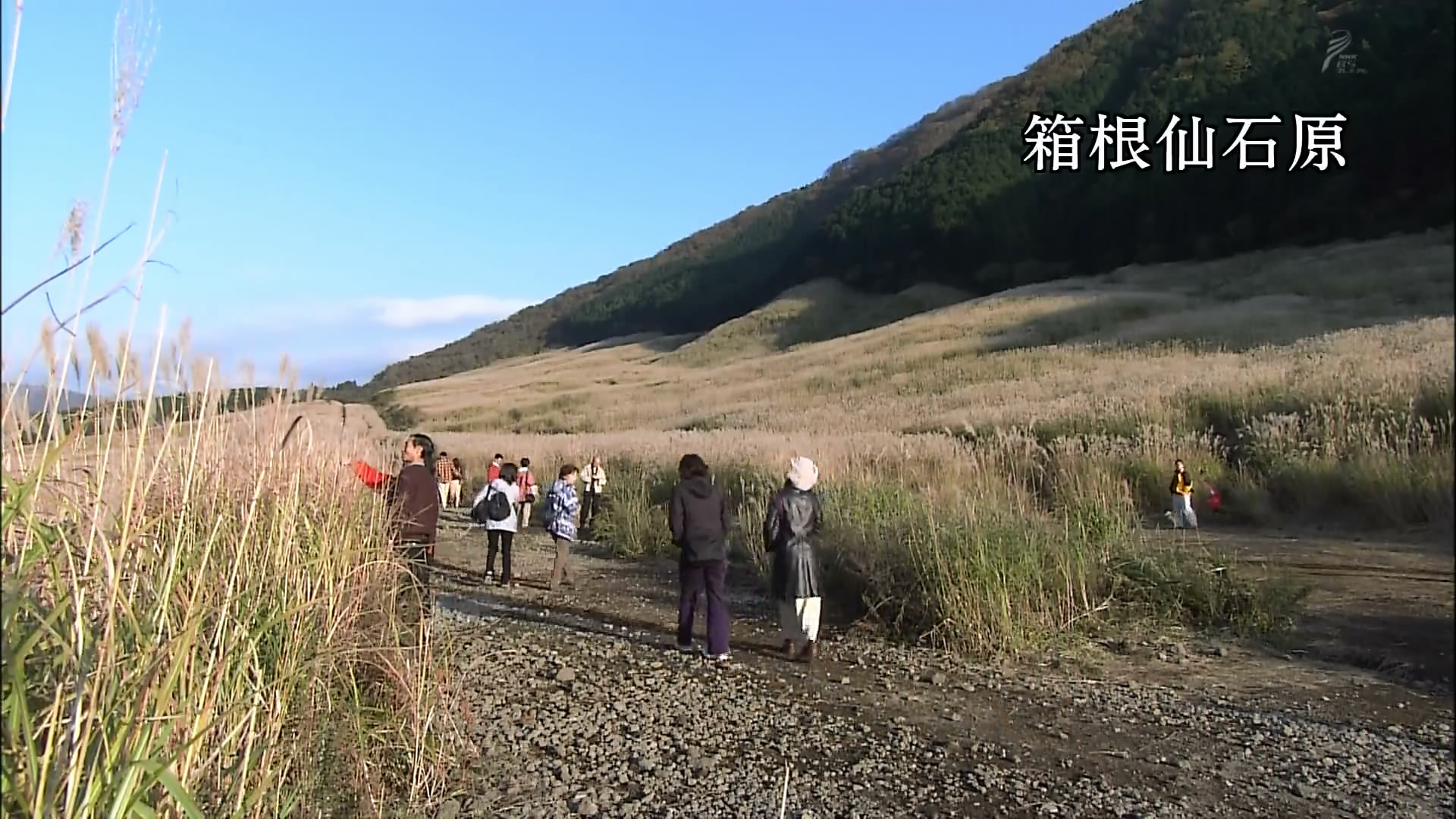 さわやかウインドー「富士山点描」s.jpg