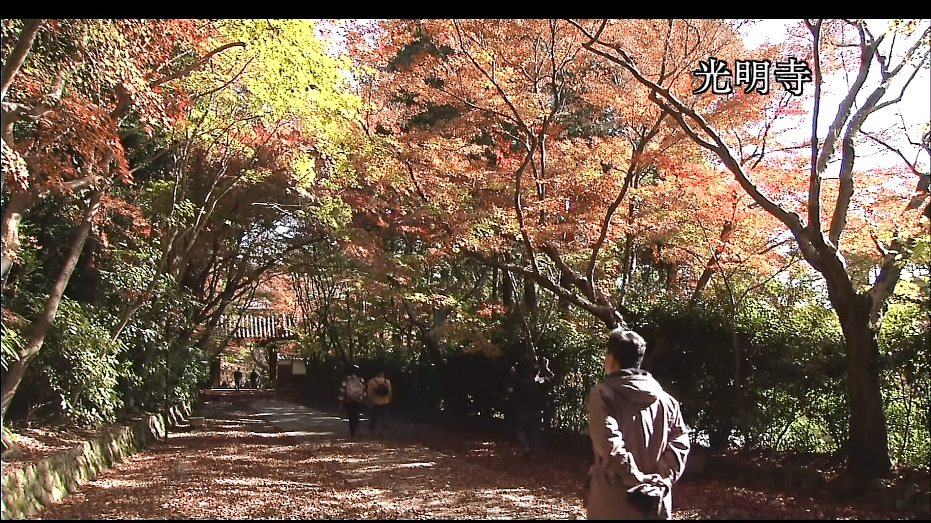 さわやかウインドー「京都西山　もみじの小径（みち）」c.jpg