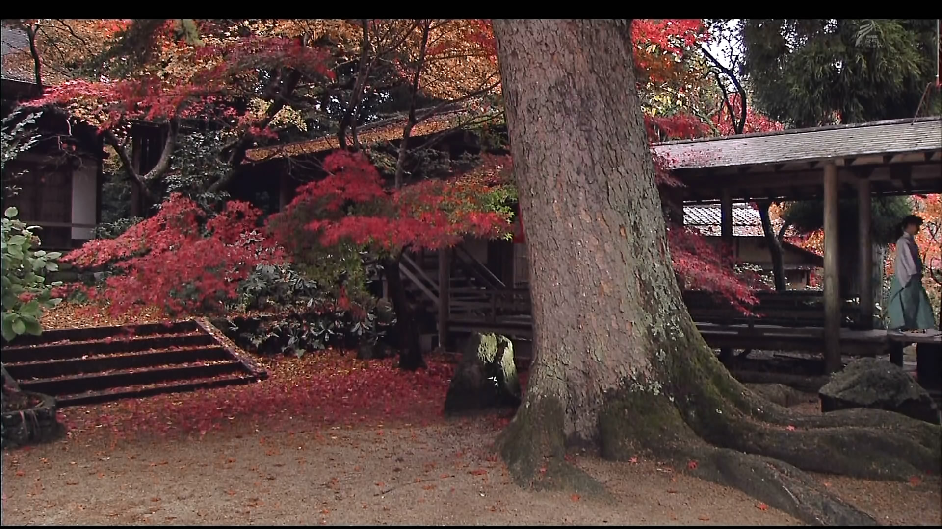 さわやかウインドー「京都西山　もみじの小径（みち）」j.jpg