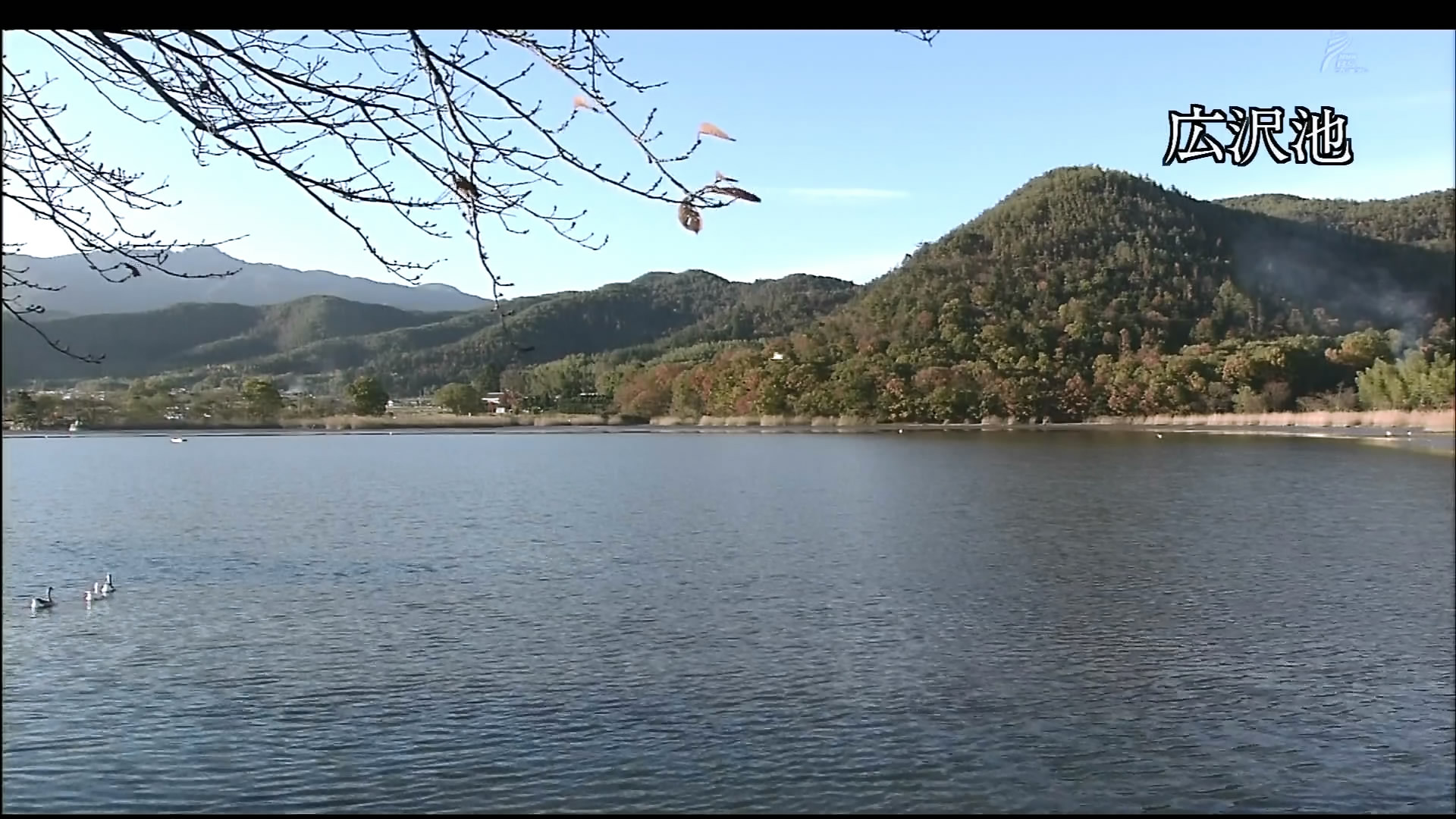 さわやかウインドー「京都　嵯峨野路」b.jpg