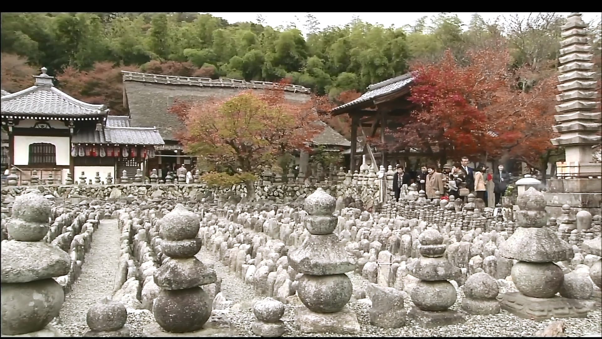 さわやかウインドー「京都　嵯峨野路」d.jpg