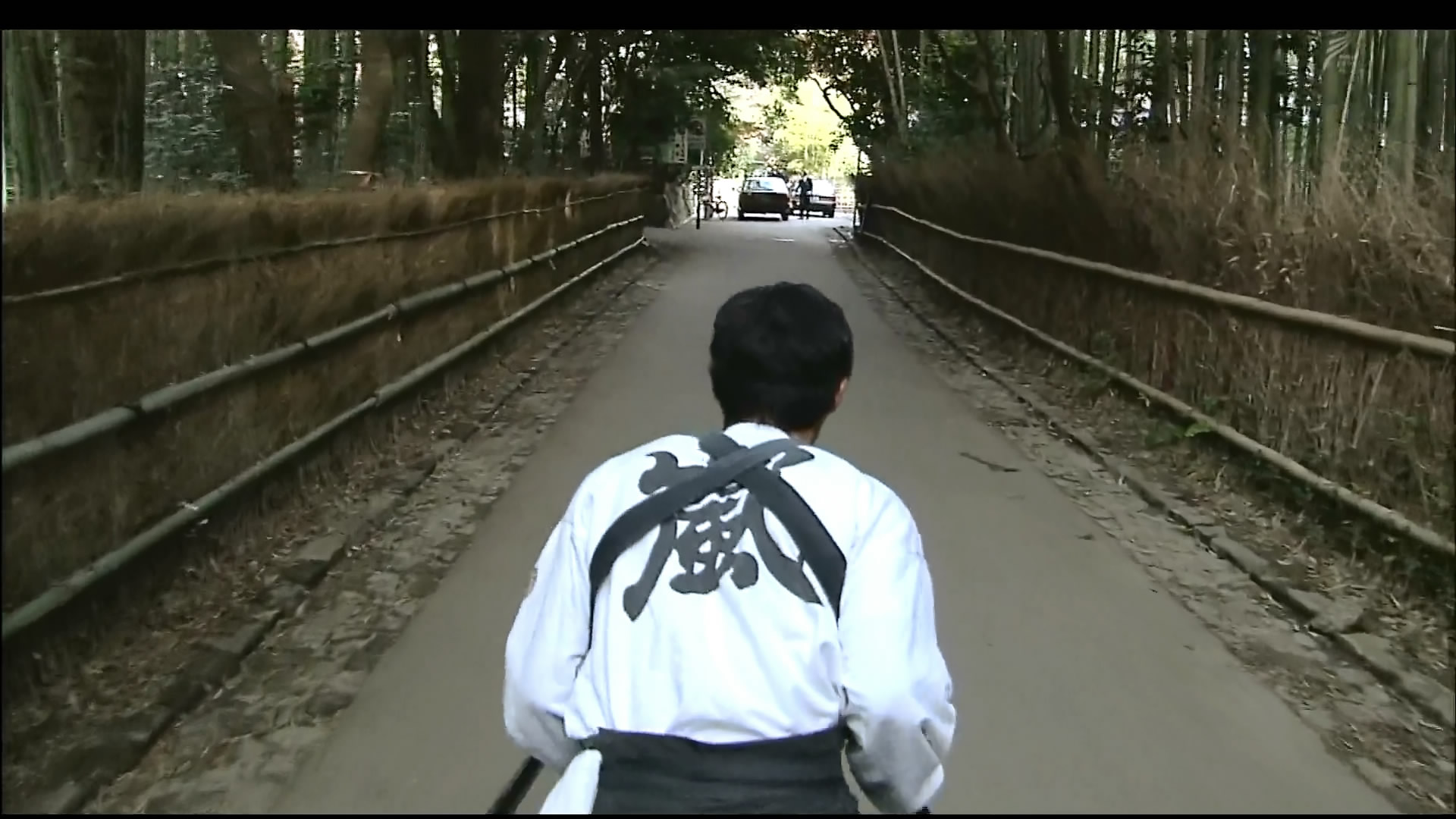 さわやかウインドー「京都　嵯峨野路」g.jpg