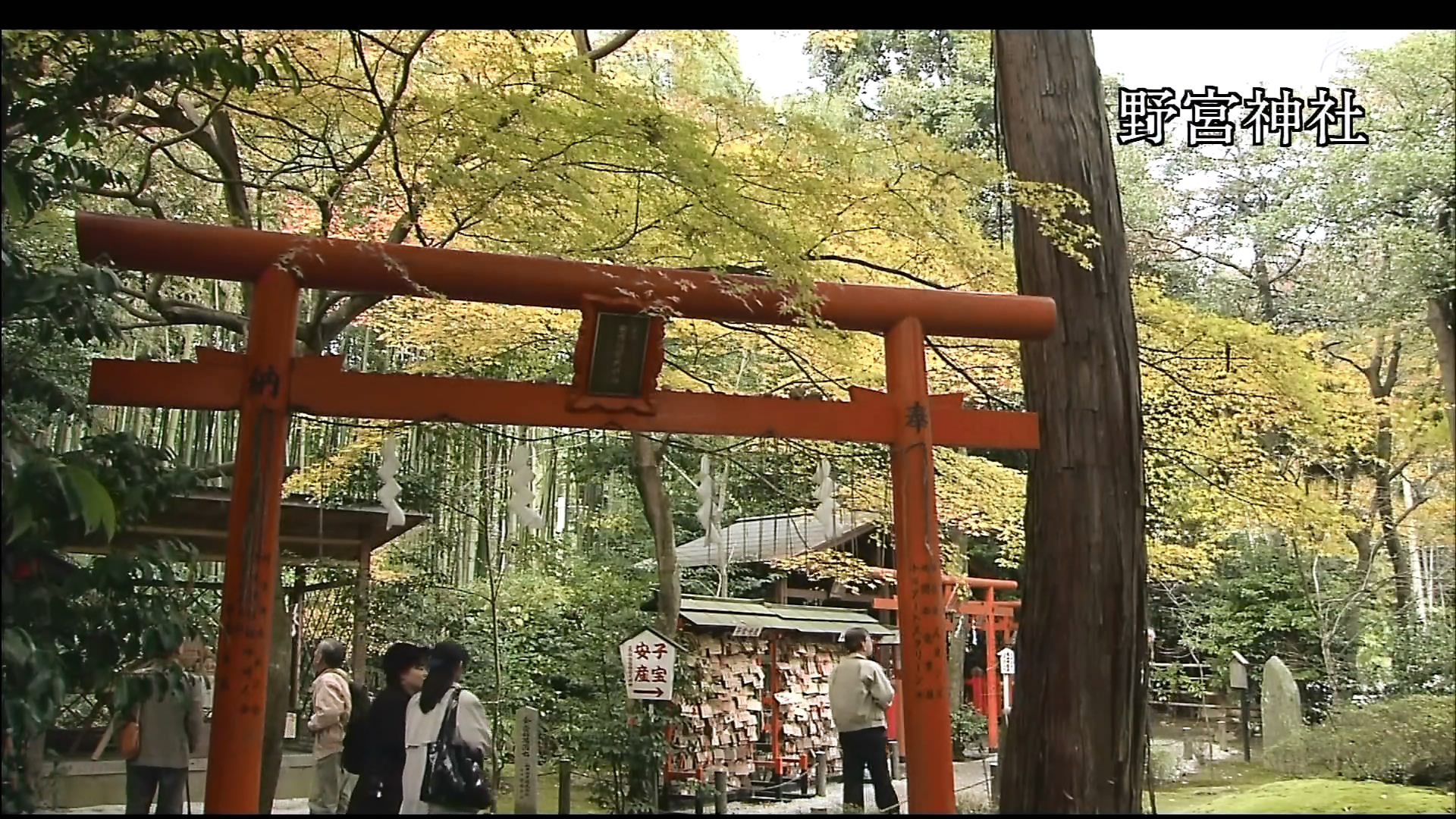 さわやかウインドー「京都　嵯峨野路」o.jpg