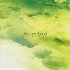 神思者 - palace seeds.jpg