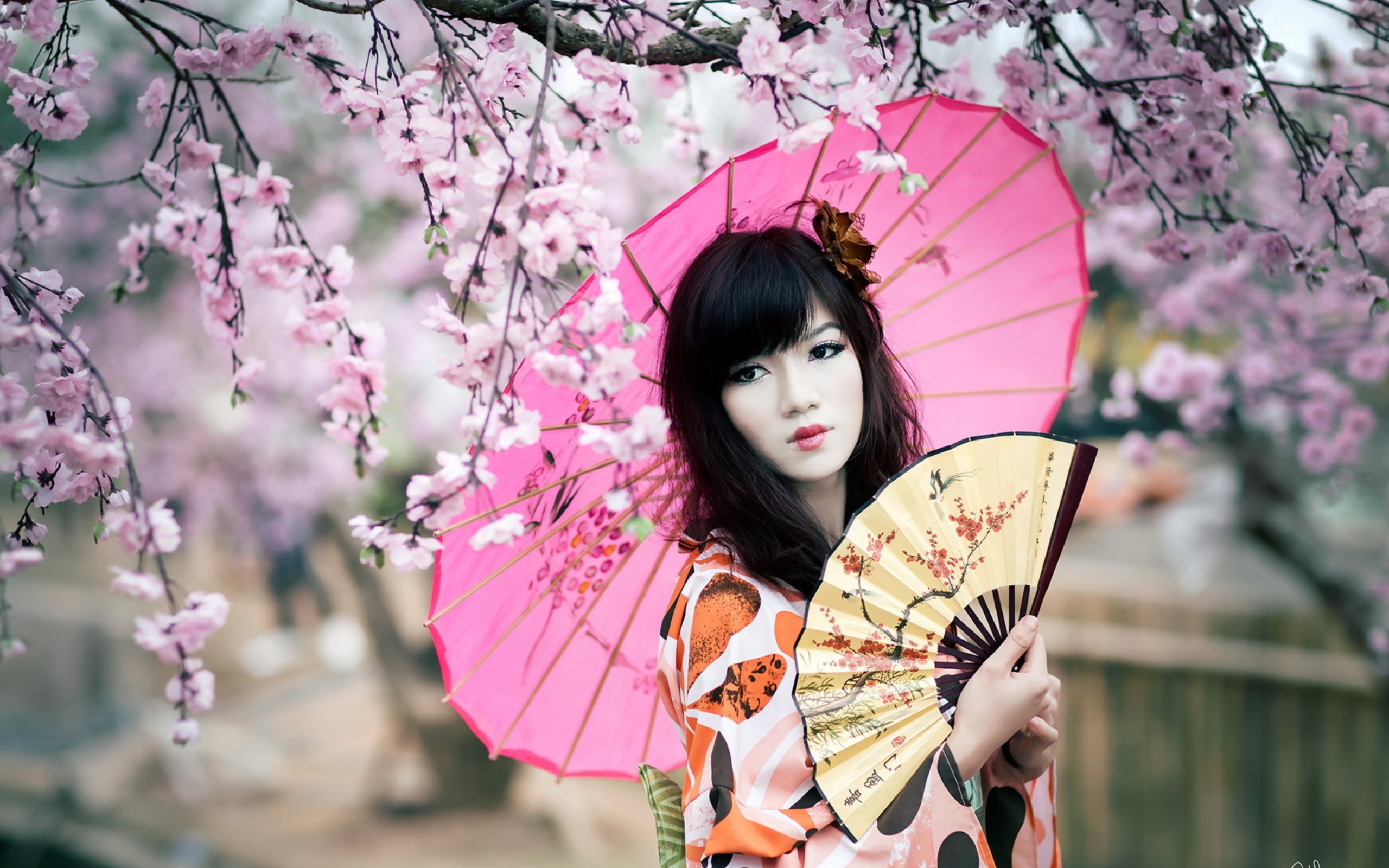 Sakura.-.Melodies.of.Japan.jpg