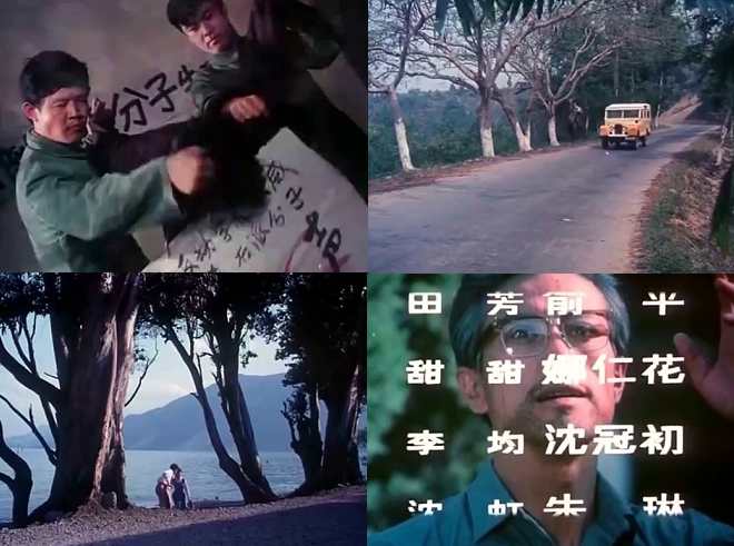 4.叛国者 1980 娜仁花、马精武主演.JPG