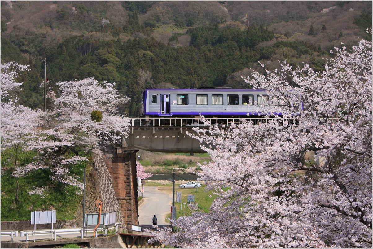 笠置山自然公園