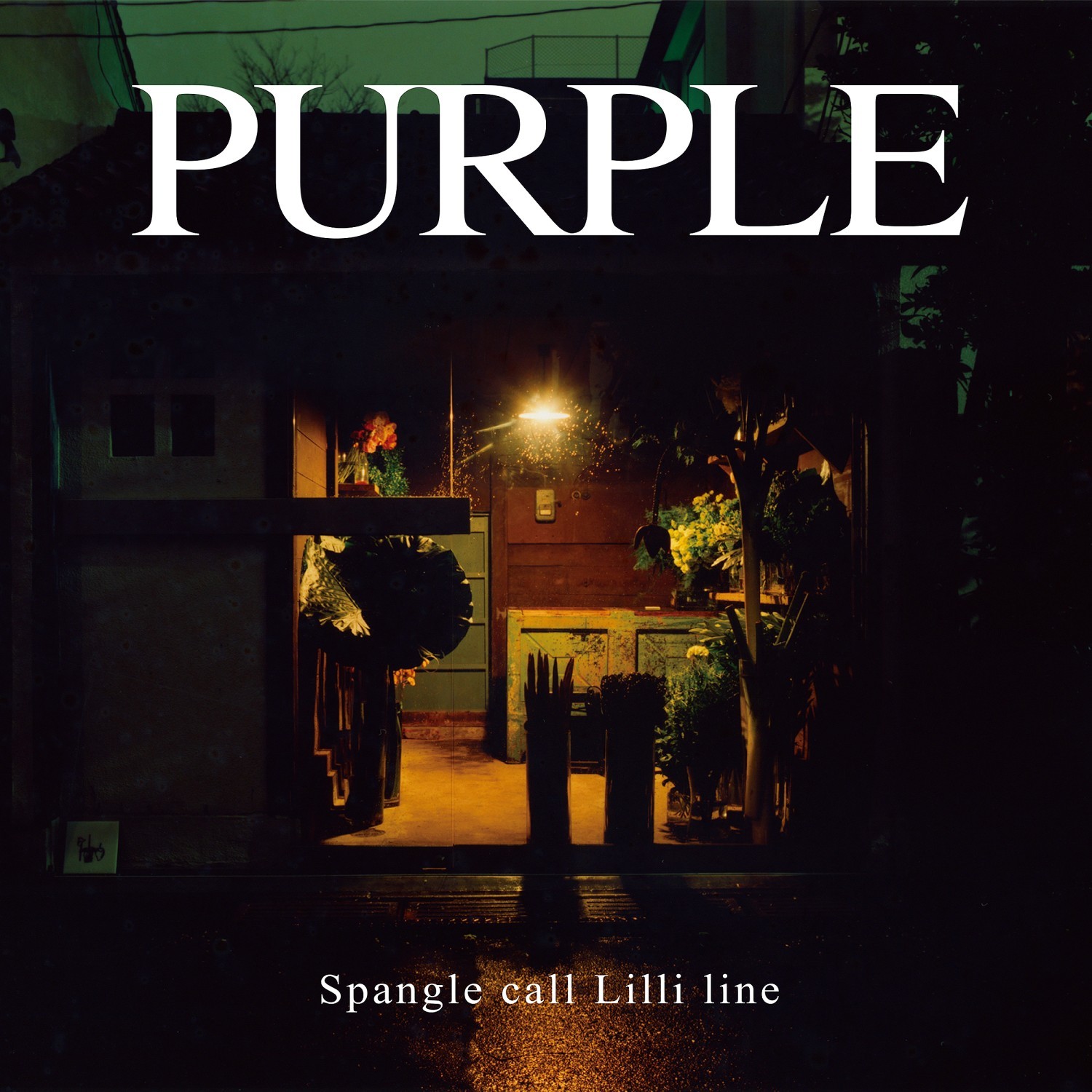 PURPLE.jpeg
