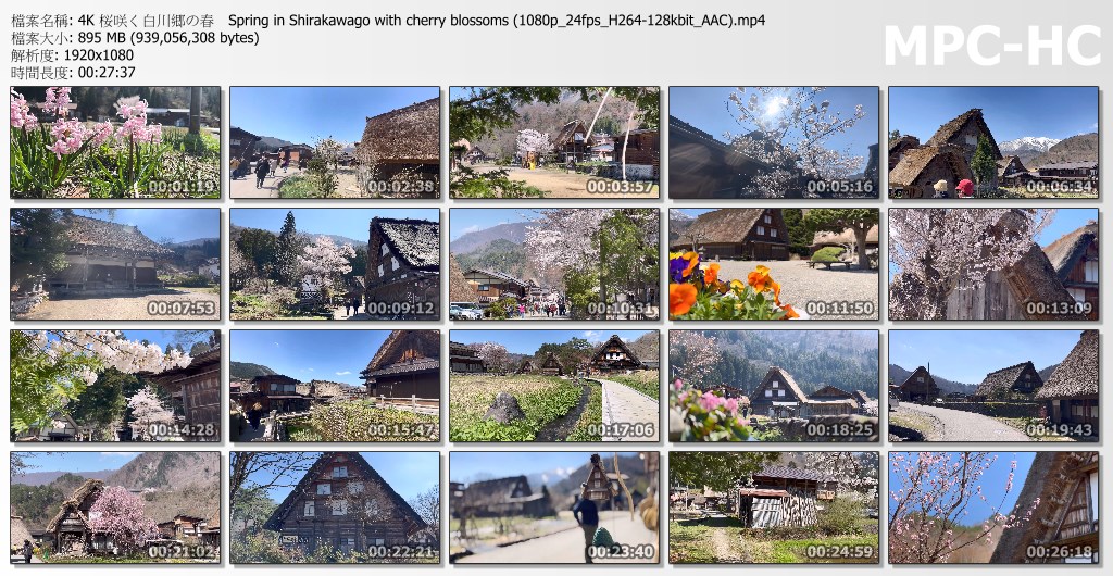 桜咲く白川郷の春　Spring in Shirakawago with cherry blossoms a~f.jpg
