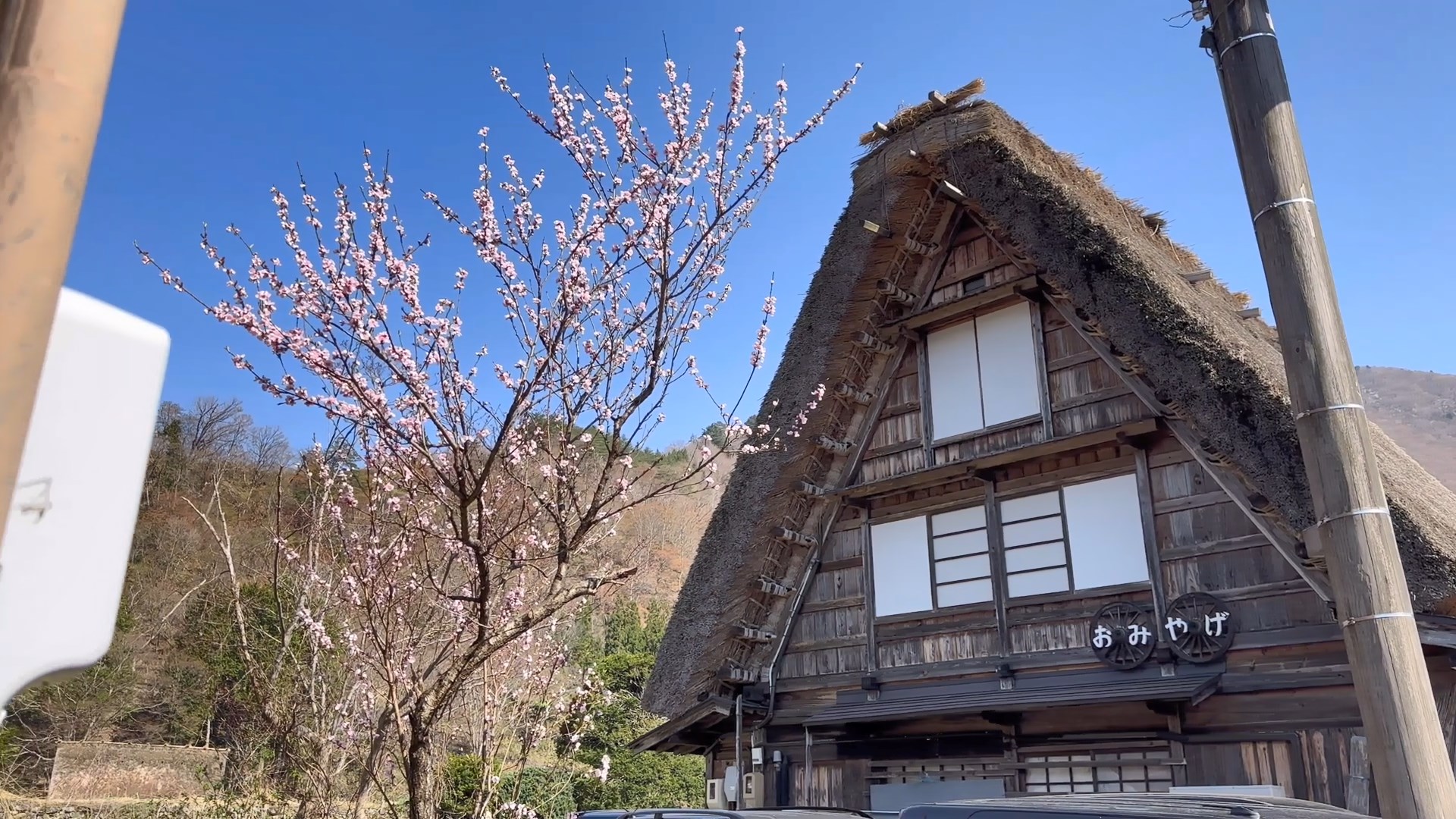 桜咲く白川郷の春　Spring in Shirakawago with cherry blossoms  e.jpg