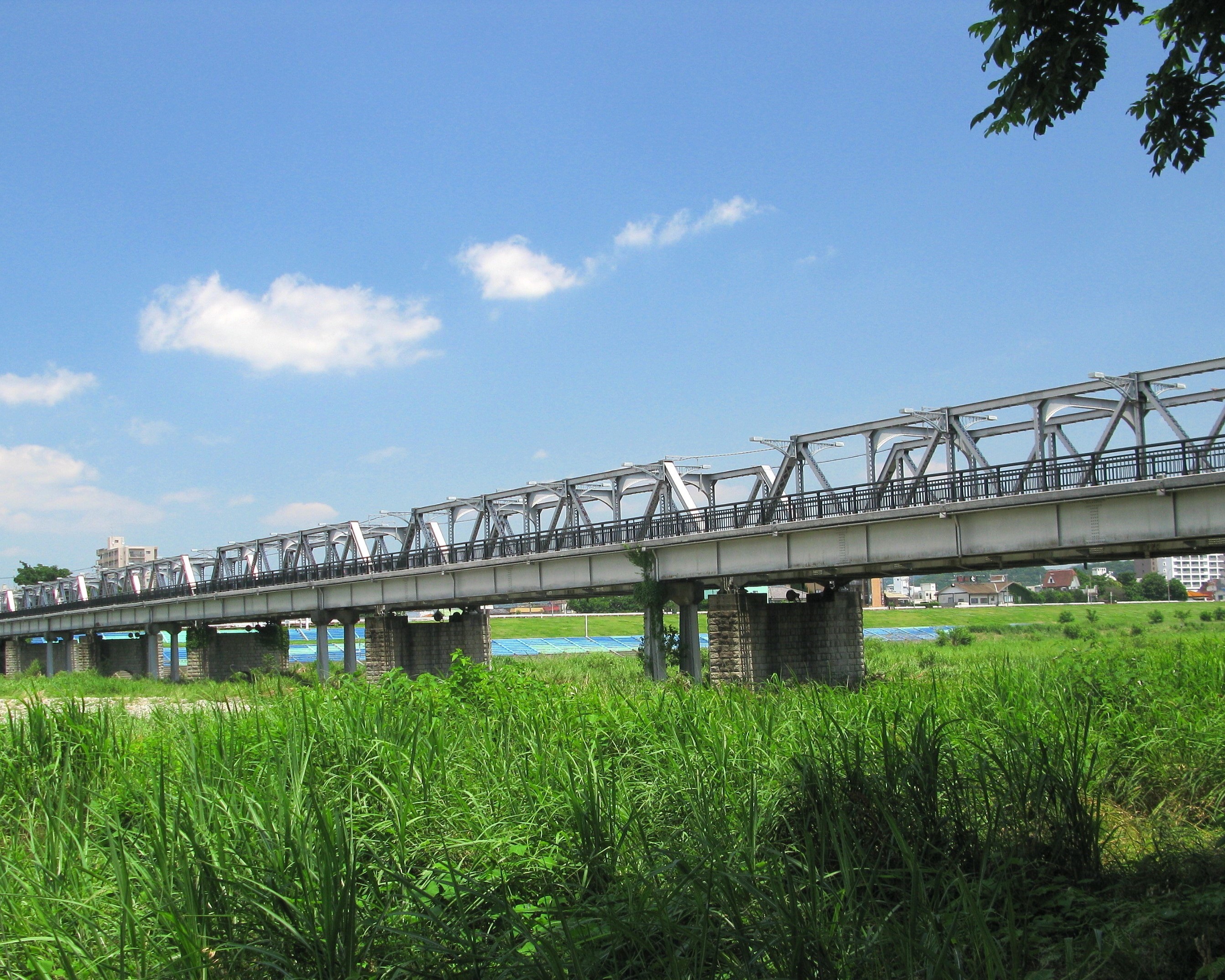 Ashikaga_Watarase_Bridge_1.jpg