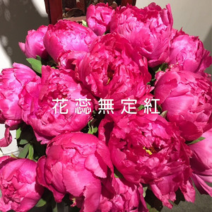 花蕊无定红.jpg