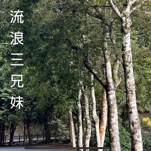 流浪三兄妹.jpg