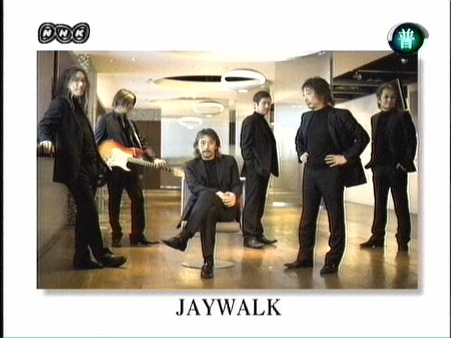 JAYWALK01.JPG