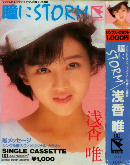 复件 瞳にSTORM Cover.jpg