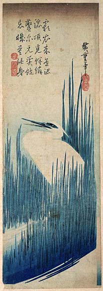 Egret and Reed.jpg