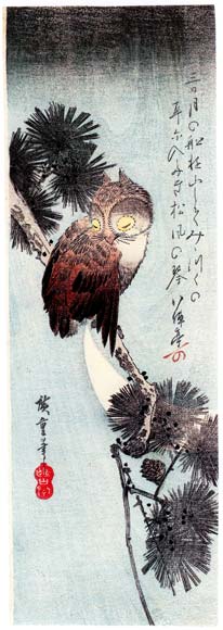 Owl in the Pine and Moon.jpg