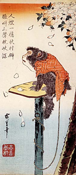 Monkey Tied with a Rope to a Cherry Tree.jpg