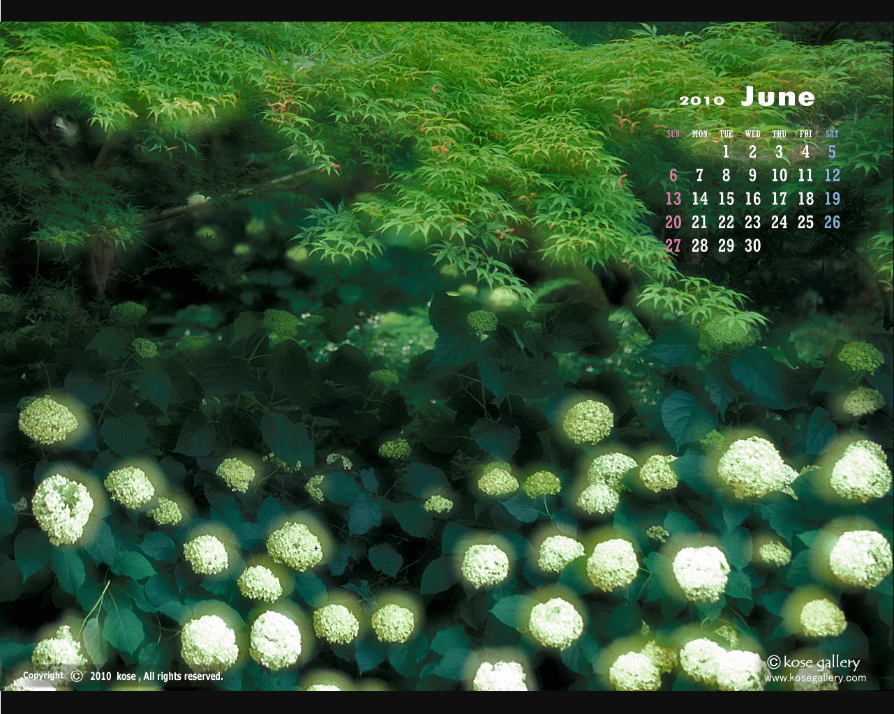 Calendar Wallpaper-3-1006.jpg