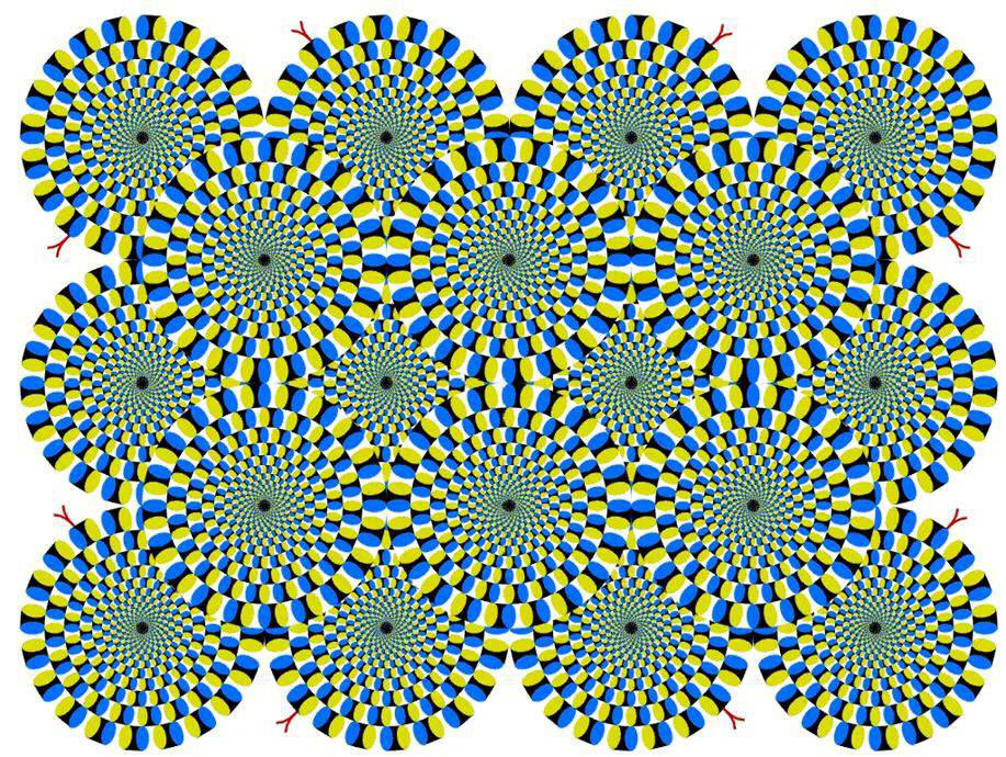 Optical_Illusions_.jpg